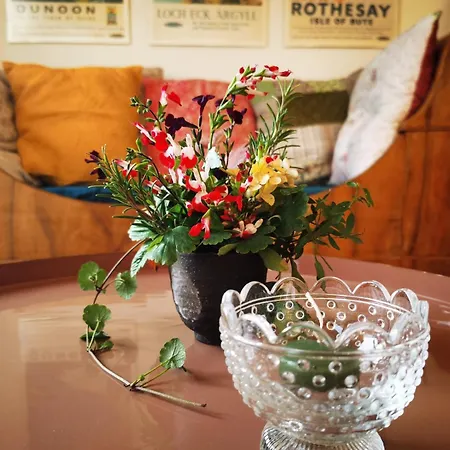 Appartement-maison Avec Jardin 公寓 *