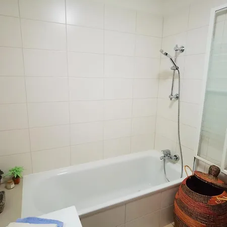 公寓 Appartement-maison Avec Jardin *