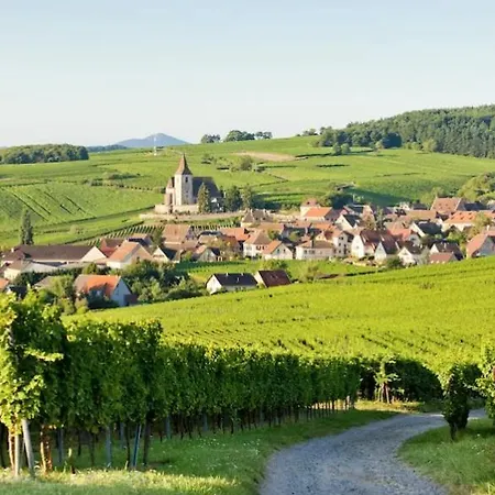 公寓 Appartement-maison Avec Jardin