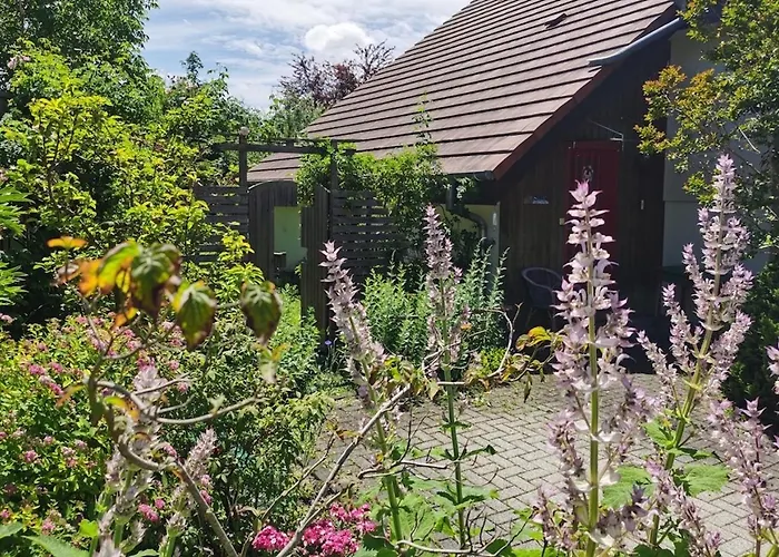 Apartment Appartement-maison Avec Jardin *