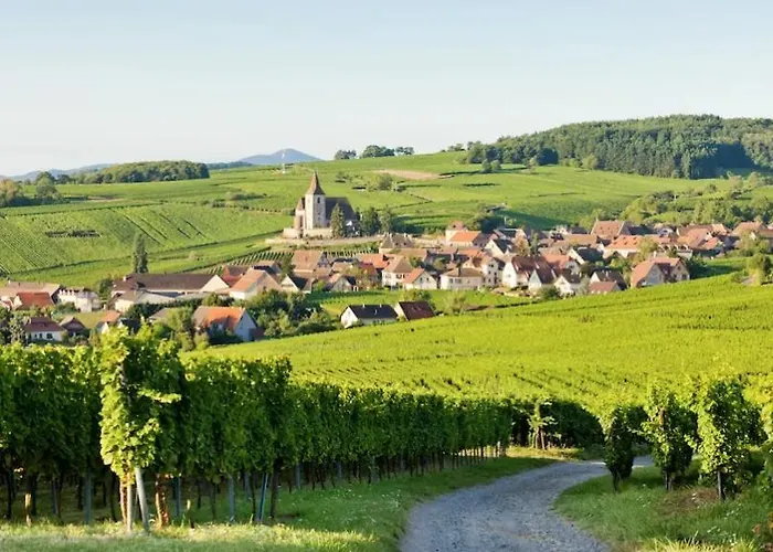 Apartment Appartement-maison Avec Jardin